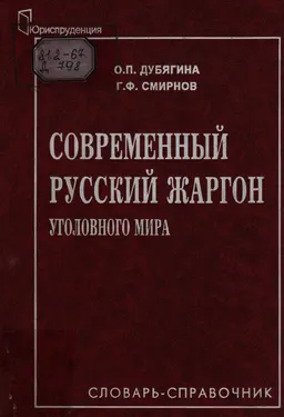 Современный русский жаргон уголовного мира: Словарь - справочник