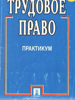 Трудовое право : Практикум
