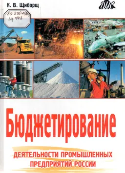 Бюджетирование деятельности промышленных предприятий России
