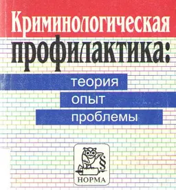 Криминологическая профилактика: Теория, опыт, проблемы : Монография