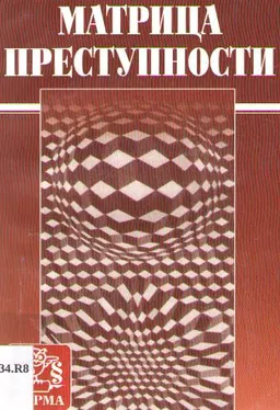 Матрица преступности : монография