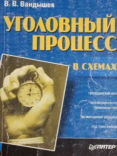 Уголовный процесс в схемах : Учебное наглядное пособие