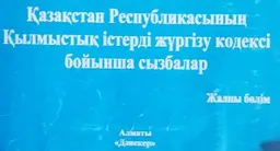 Қазақстан Республикасының Қылмыстық істерді жүргізу кодексі бойынша сызбалар. Жалпы бөлім