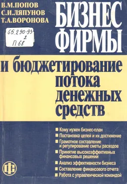 Бизнес фирмы и бюджетирование потока денежных средств : Практическое издание