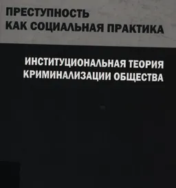 Преступность как социальная практика: институциональная теория криминализации общества : Монография