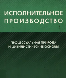 Исполнительное производство: процессуальная природа и цивилистические основы : монография