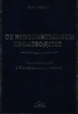 Комментарий к Федеральному закону " Об исполнительном производстве" от 2 октября 2007 г. № 229-ФЗ : (постатейный научно-практический)
