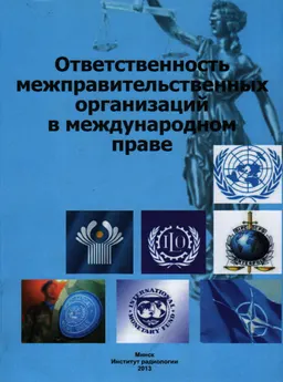 Ответственность межправительственных организаций в международном праве : монография