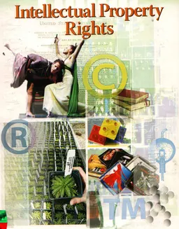 Fokus on intellectual Property Rights : общественно-политическая литература