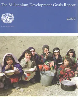 The millennium development goals report