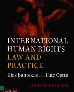 International human rights law and practice : научное издание