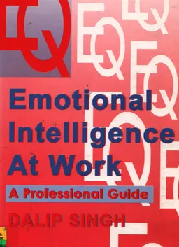 Emotional intelligence at work : a professional guide