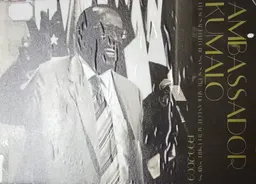 Personal reflections on South Africa`s role at the United Nations