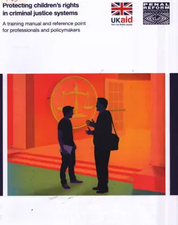 Protectihg children`s rights in criminal justice systems: A training manual and reference point for professionals and policymakers : учебное пособие