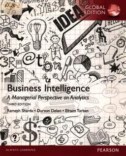Business intelligence : a managerial perspective on analytics