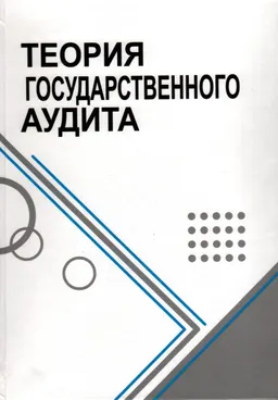 Теория государственного аудита