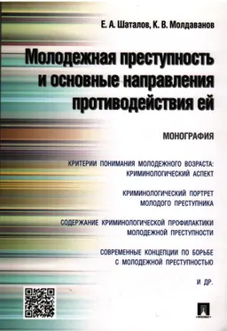 Молодежная преступность и основные направления противодействия ей : монография