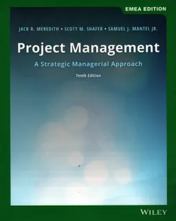 Project management : a strategic managerial approach