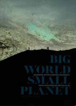 Big world small planet: abundance within planetary boundaries