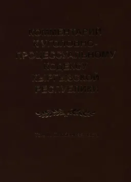 Комментарий к уголовно-процессуальному кодексу Кыргызской Республики. Т.2. Особенная часть