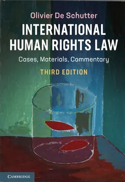 International human rights law : cases, materials, commentary