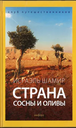 Страна сосны и оливы, или Неприметные прелести Святой земли