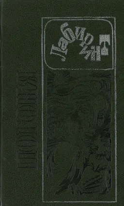 Погоня