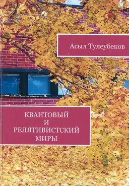 Квантовый и релятивистский миры