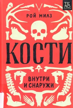 Кости внутри и снаружи