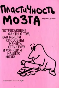 Пластичность мозга: потрясающие факты о том, как мысли способны менять структуру и функции нашего мозга
