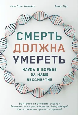 Смерть должна умереть: Наука в борьбе за наше бессмертие