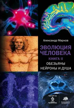 Эволюция человека. В 2-х кн. Кн.2. Обезьяны, нейроны и душа