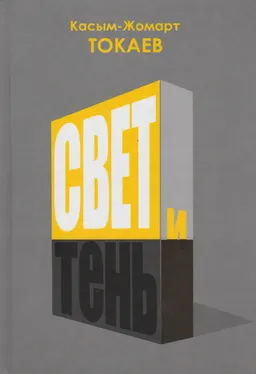 Свет и тень : Очерки казахстанского политика