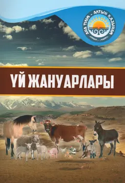 Үй жануарлары