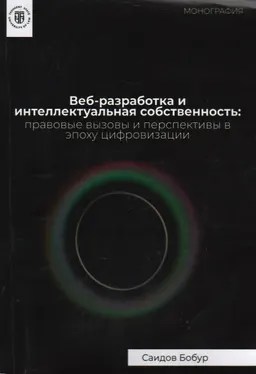 Веб-разработка и интеллектуальная собственность: правовые вызовы и перспективы в эпоху цифровизации : монография