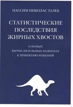 Статистические последствия жирных хвостов: О новых вычислительных подходах к принятию решений