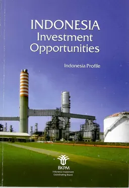 Indonesia investment opportunities : Indonesia profile