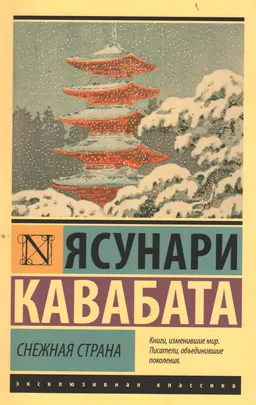 Снежная страна : [роман]
