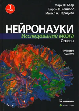 Основы