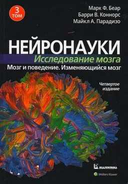 Нейронауки. Исследование мозга