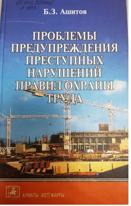 Проблемы предупреждения преступных нарушений правил охраны труда : Монография