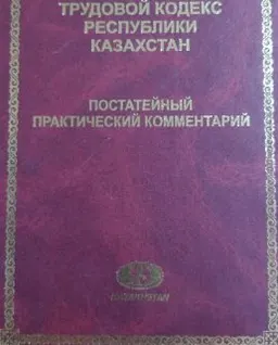 Трудовой кодекс Республики Казахстан : постатейный практический комментарий